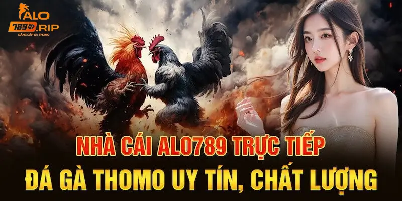 Dịch Vụ Và Sản Phẩm Của Alo789